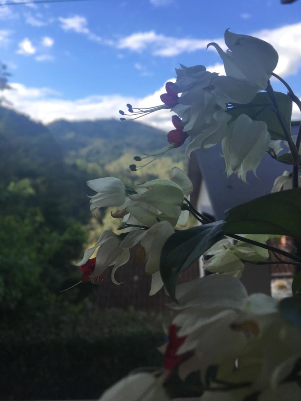 Casa Sossego Da Montanha Villa Висконе Де Мауа Екстериор снимка
